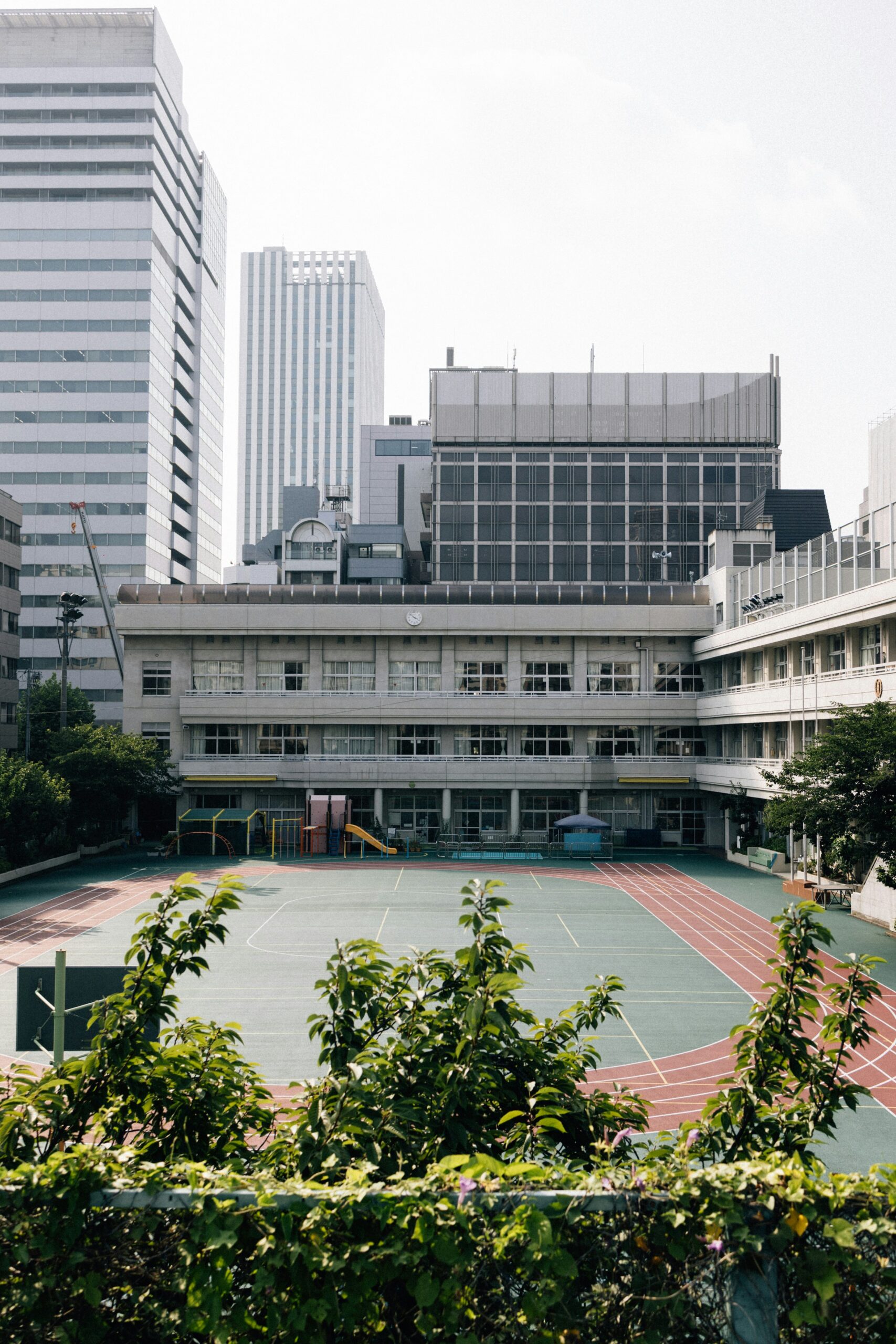 校庭の様子